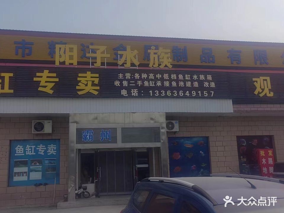 霸州開水族店怎么樣？加盟祥龍魚場賣龍魚市場怎樣？ 霸州開水族店怎么樣？加盟祥龍魚場賣龍魚市場怎樣？ 水族館百科（水族館加盟） 第2張