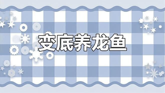 金龍魚黑色背景圖
