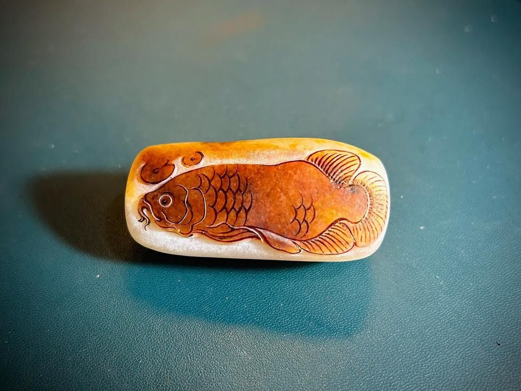 金龍魚玉石 金龍魚玉石 龍魚百科 第4張