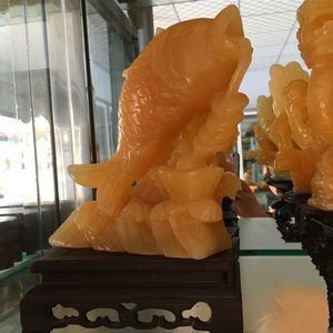 金龍魚玉石 金龍魚玉石 龍魚百科 第13張