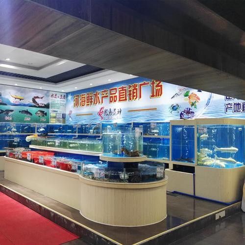 橫峰開水族店怎么樣？加盟祥龍魚場(chǎng)賣龍魚市場(chǎng)怎樣？
