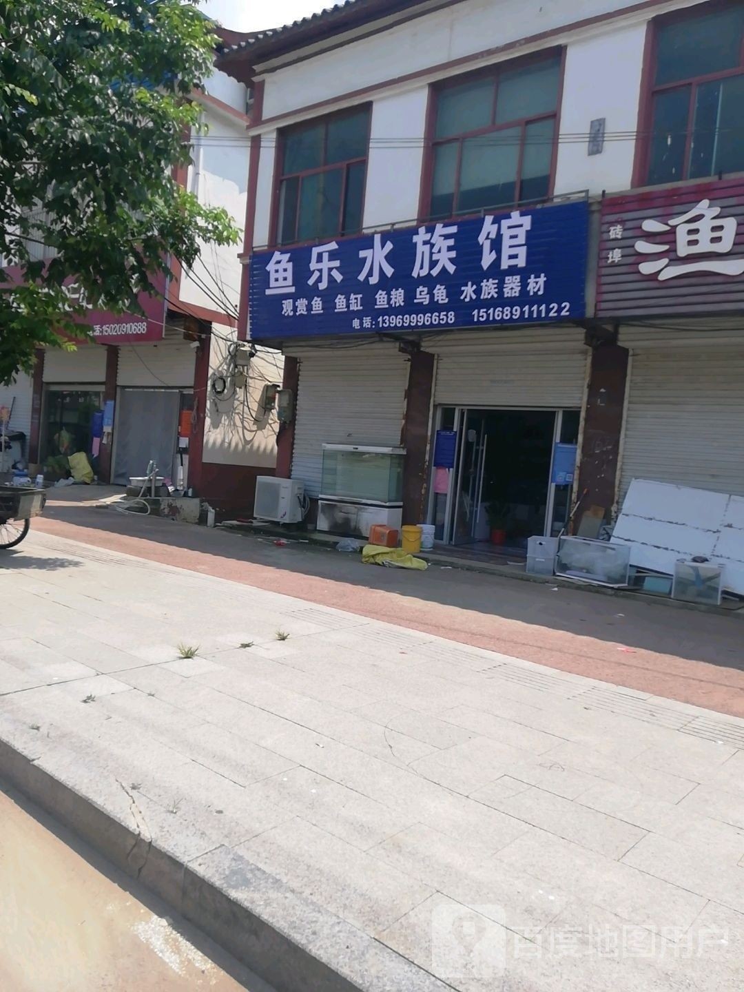 沂南開(kāi)水族店怎么樣？加盟祥龍魚(yú)場(chǎng)賣龍魚(yú)市場(chǎng)怎樣？