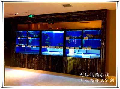 魚缸設計方案圖片（魚缸設計方案圖片教程魚缸設計方案圖片大全）