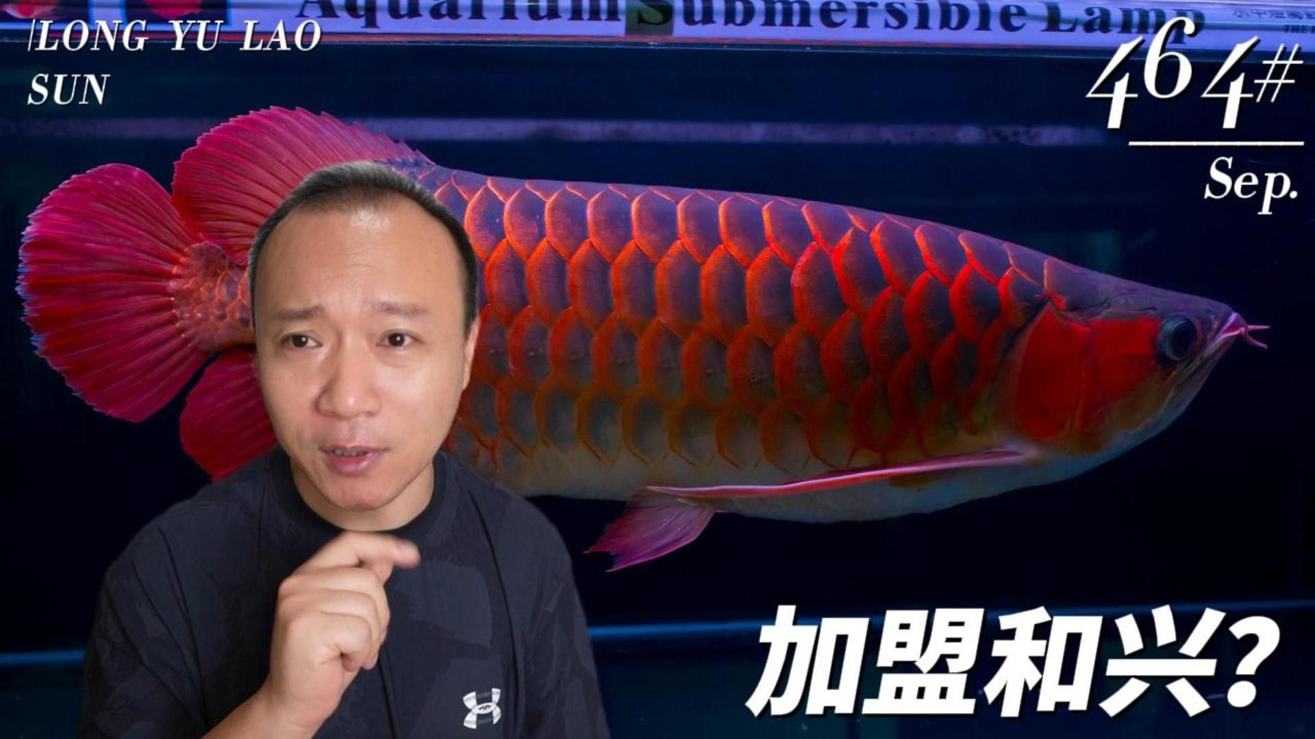 昌樂開水族店怎么樣？加盟祥龍魚場賣龍魚市場怎樣？ 昌樂開水族店怎么樣？加盟祥龍魚場賣龍魚市場怎樣？ 水族館百科（水族館加盟） 第5張