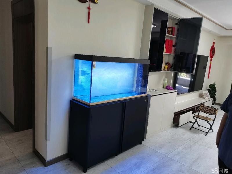克拉瑪依開水族店怎么樣？加盟祥龍魚場賣龍魚市場怎樣？