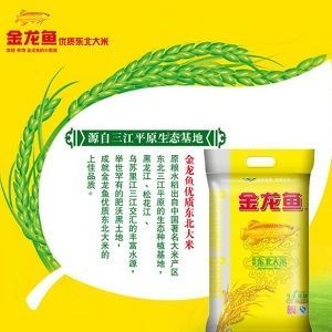 金龍魚的來歷是什么：美麗硬仆骨舌魚金龍魚的來歷是什么金龍魚的來歷是什么