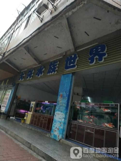 大興開水族店怎么樣？加盟祥龍魚場賣龍魚市場怎樣？