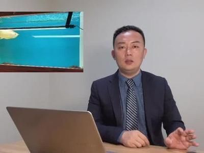 龍魚缸燈放在什么位置好看：龍魚缸燈光定時開關設置龍魚缸燈光布置的風水講究