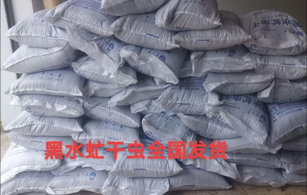 龍魚黑水虻 龍魚黑水虻 龍魚百科 第10張