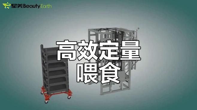 龍魚黑水虻 龍魚黑水虻 龍魚百科 第3張