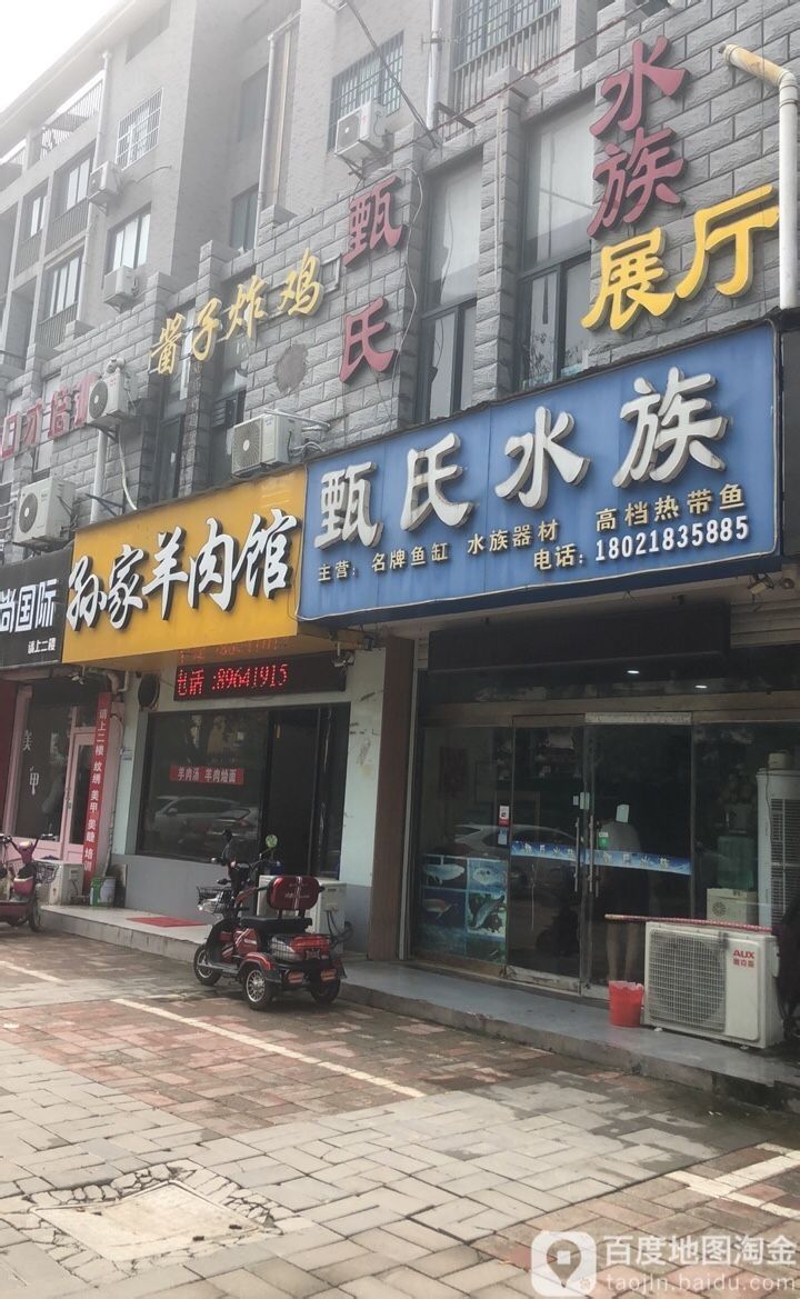 沛縣開水族店怎么樣？加盟祥龍魚場賣龍魚市場怎樣？