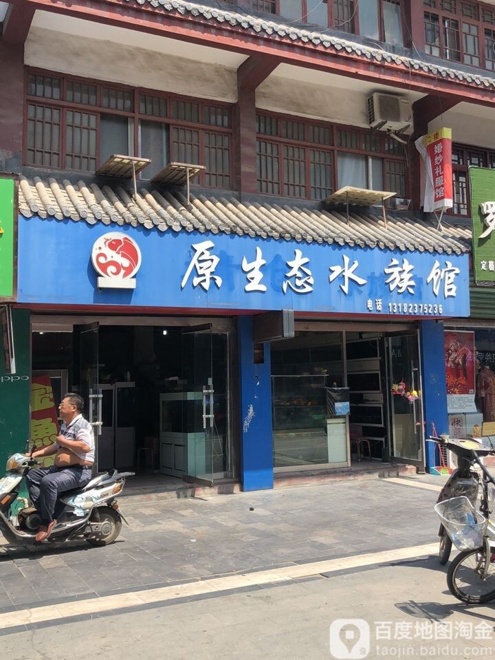 沛縣開水族店怎么樣？加盟祥龍魚場賣龍魚市場怎樣？