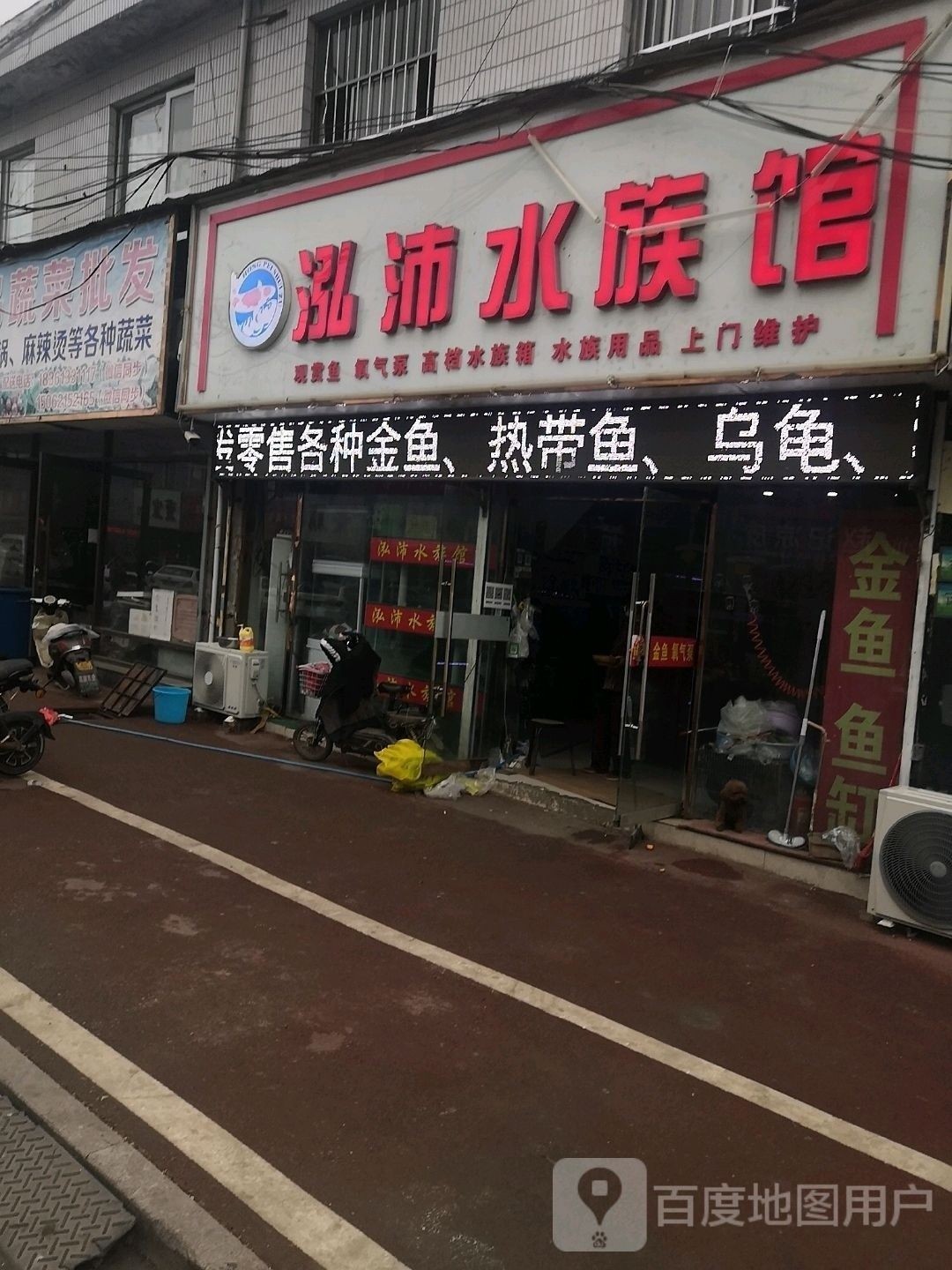 沛縣開水族店怎么樣？加盟祥龍魚場賣龍魚市場怎樣？