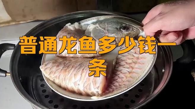 墊江開水族店怎么樣？加盟祥龍魚場(chǎng)賣龍魚市場(chǎng)怎樣？