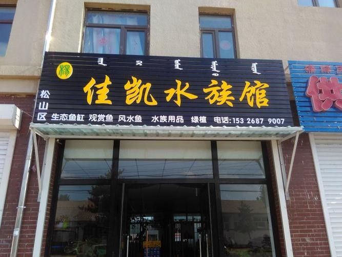 赤峰開水族店怎么樣？加盟祥龍魚場賣龍魚市場怎樣？