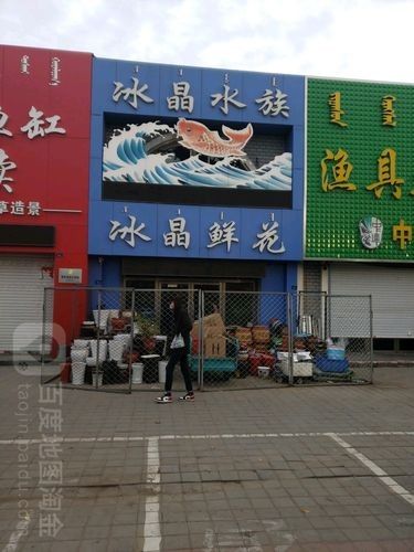 赤峰開水族店怎么樣？加盟祥龍魚場賣龍魚市場怎樣？