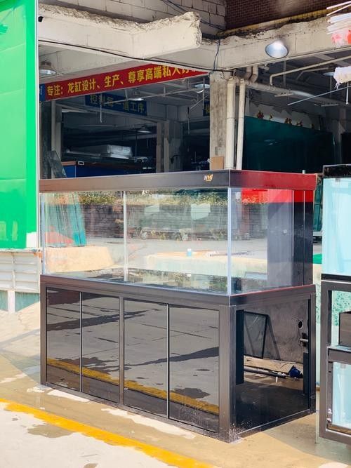 赤峰開水族店怎么樣？加盟祥龍魚場賣龍魚市場怎樣？
