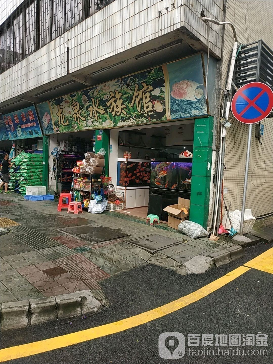 醴陵開水族店怎么樣？加盟祥龍魚場賣龍魚市場怎樣？ 醴陵開水族店怎么樣？加盟祥龍魚場賣龍魚市場怎樣？ 水族館百科（水族館加盟） 第1張