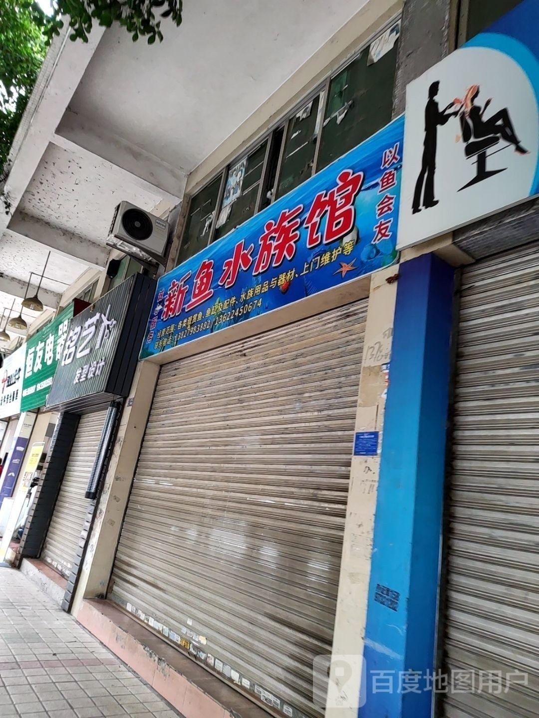 醴陵開水族店怎么樣？加盟祥龍魚場賣龍魚市場怎樣？ 醴陵開水族店怎么樣？加盟祥龍魚場賣龍魚市場怎樣？ 水族館百科（水族館加盟） 第2張