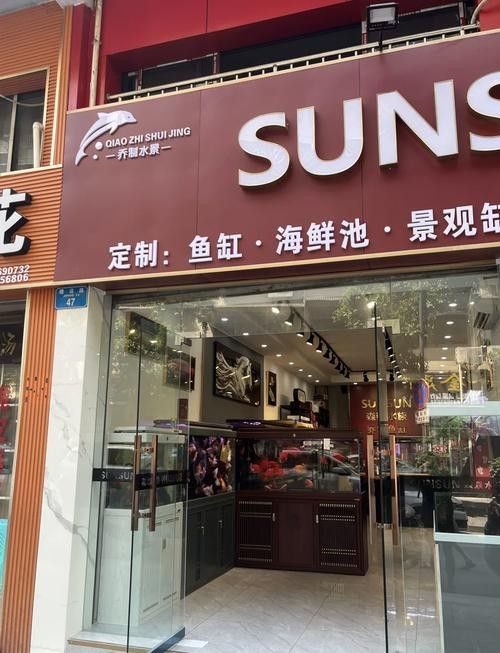 巫山開水族店怎么樣？加盟祥龍魚場賣龍魚市場怎樣？