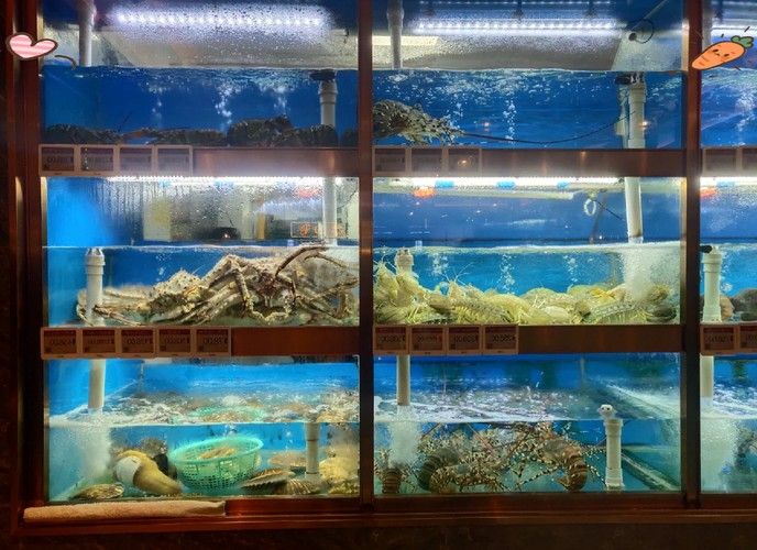 泉州開水族店怎么樣？加盟祥龍魚場賣龍魚市場怎樣？