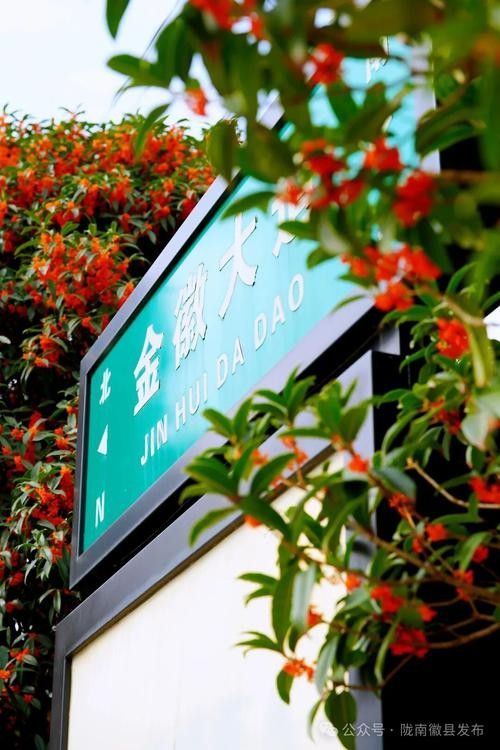 徽縣開水族店怎么樣？加盟祥龍魚場賣龍魚市場怎樣？
