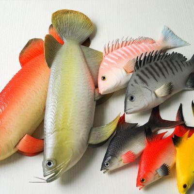 龍魚吃水果和蔬菜好嗎：龍魚吃水果和蔬菜好嗎龍魚吃水果和蔬菜好嗎