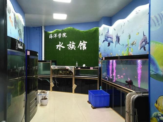 欽州開水族店怎么樣？加盟祥龍魚場賣龍魚市場怎樣？