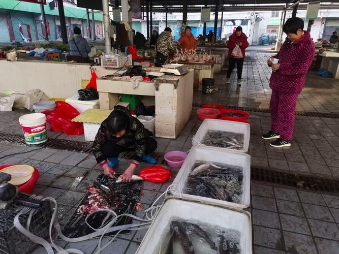 欽州開水族店怎么樣？加盟祥龍魚場賣龍魚市場怎樣？