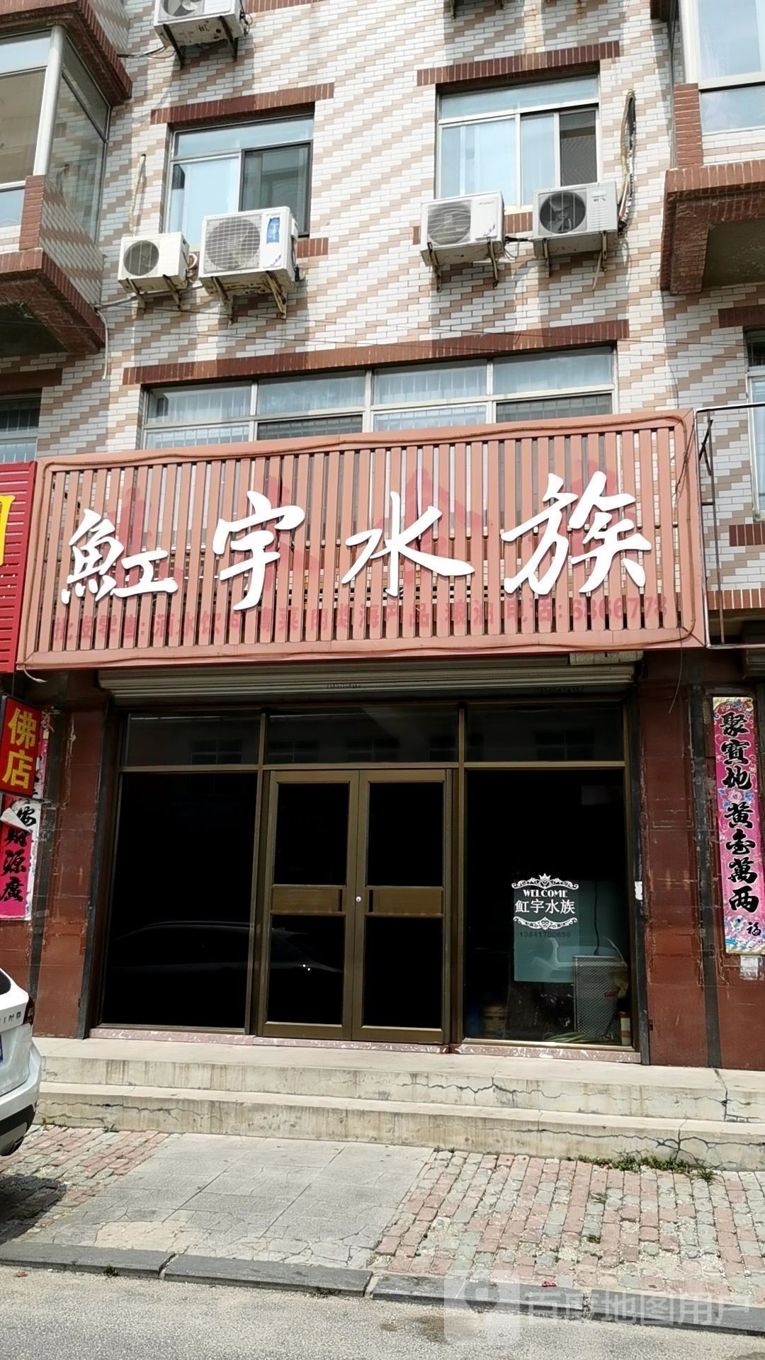 營口開水族店怎么樣？加盟祥龍魚場賣龍魚市場怎樣？
