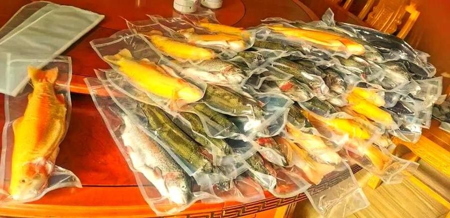 武山開(kāi)水族店怎么樣?加盟祥龍魚(yú)場(chǎng)賣龍魚(yú)市場(chǎng)怎樣? 水族館百科(水族館加盟) 第5張 武山開(kāi)水族店怎么樣?加盟祥龍魚(yú)場(chǎng)賣龍魚(yú)市場(chǎng)怎樣? 武山開(kāi)水族店怎么樣?加盟祥龍魚(yú)場(chǎng)賣龍魚(yú)市場(chǎng)怎樣? 水族館百科(水族館加盟) 第5張
