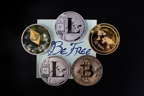 龍魚排行榜前十名：龍魚排行榜前十名的詳細(xì)信息