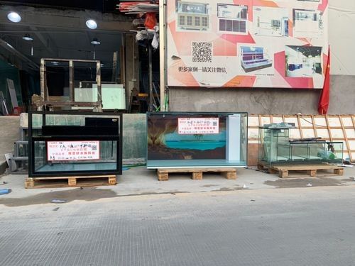 福清開水族店怎么樣？加盟祥龍魚場賣龍魚市場怎樣？