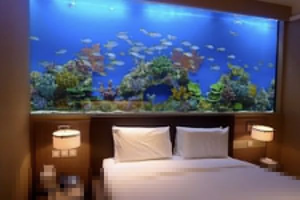 臥室放魚缸好不好，臥室養魚缸的衛生維護