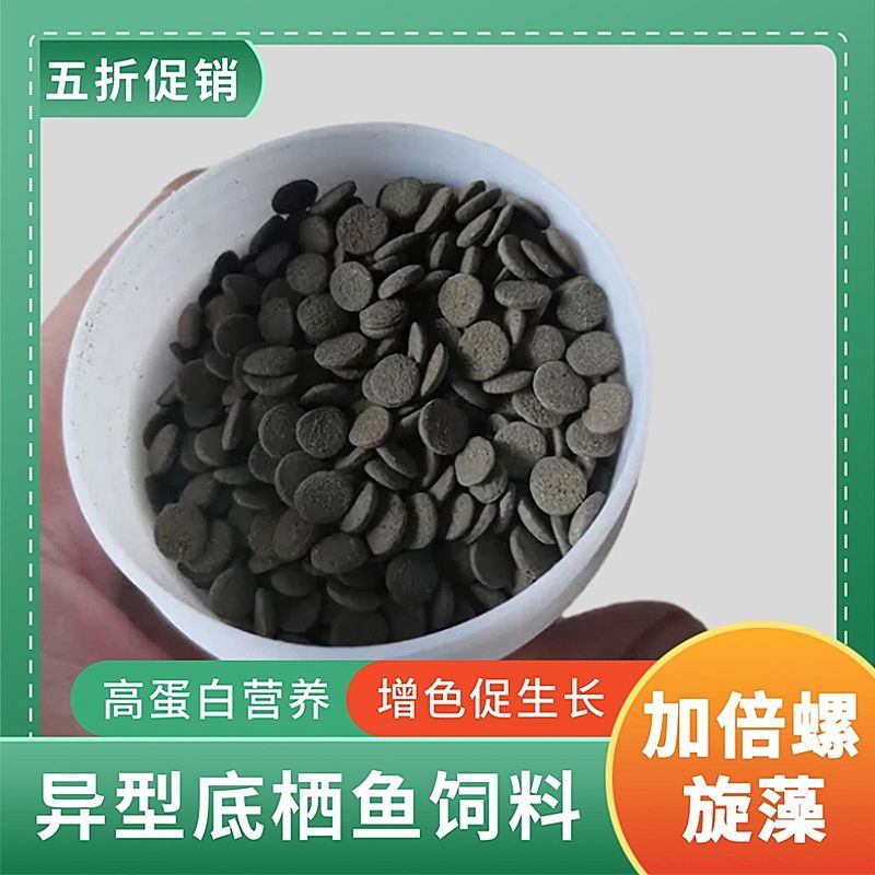 女王大帆魚苗飼料選擇指南（女王大帆魚苗繁殖期飼料選擇）