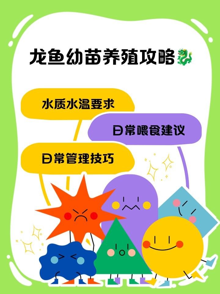 龍魚幼苗需要多久喂一次？