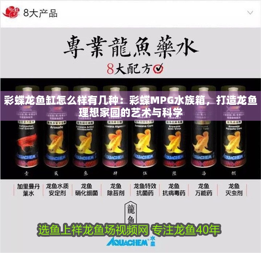 彩蝶龍魚缸怎么樣有幾種：彩蝶MPG水族箱，打造龍魚理想家園的藝術與科學