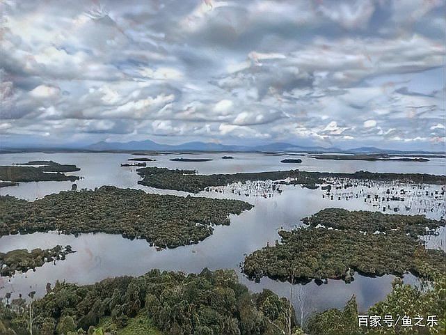 大湖紅龍的主要產地在哪里？ 大湖紅龍的主要產地在哪里？ 龍魚百科 第11張