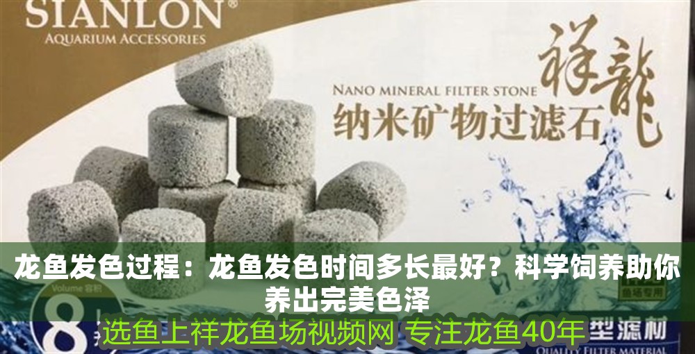 龍魚發(fā)色過程：龍魚發(fā)色時間多長最好？科學(xué)飼養(yǎng)助你養(yǎng)出完美色澤 龍魚發(fā)色過程：龍魚發(fā)色時間多長最好？科學(xué)飼養(yǎng)助你養(yǎng)出完美色澤 龍魚百科 第1張