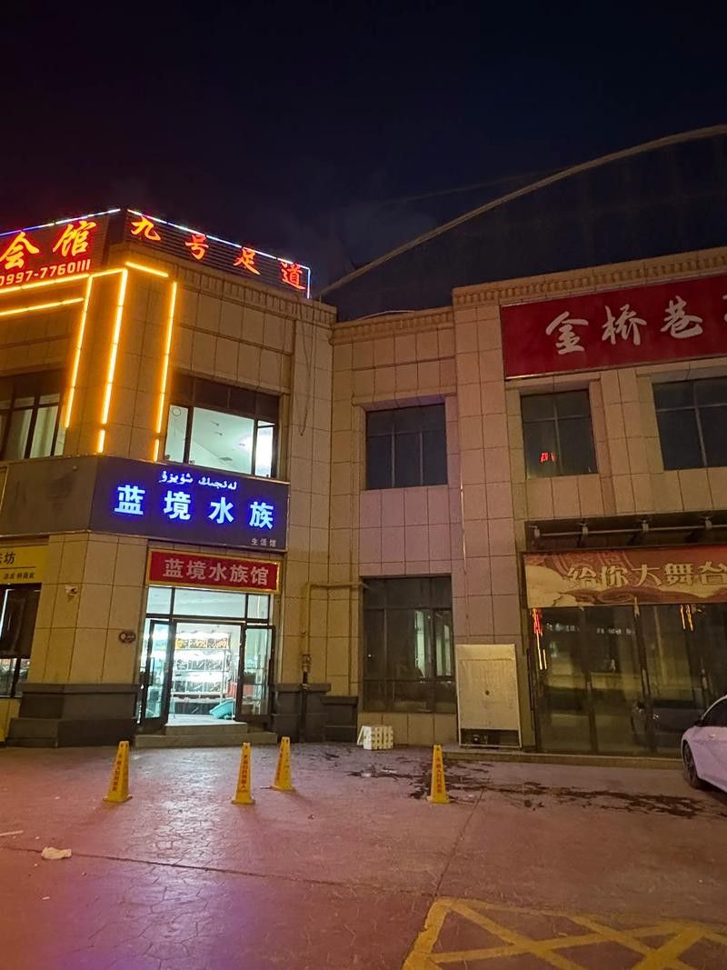庫車開水族店怎么樣？加盟祥龍魚場賣龍魚市場怎樣？