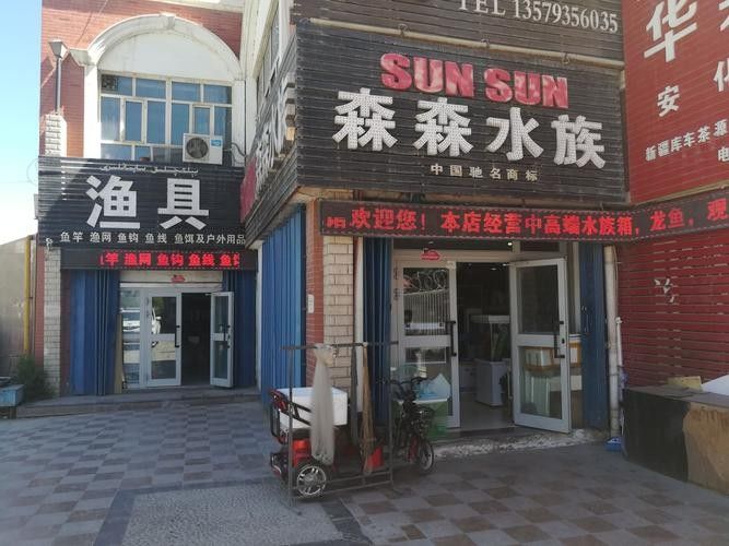 庫車開水族店怎么樣？加盟祥龍魚場賣龍魚市場怎樣？