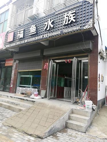 蘭考開水族店怎么樣？加盟祥龍魚場賣龍魚市場怎樣？