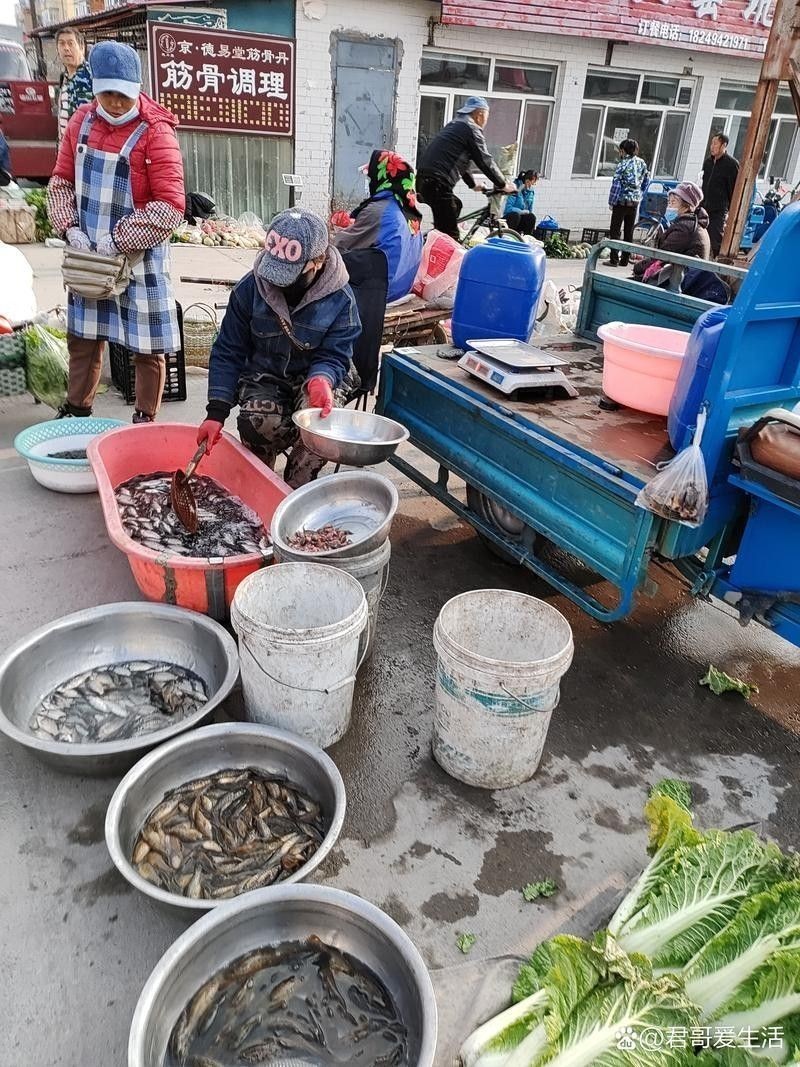 張灣開水族店怎么樣？加盟祥龍魚場賣龍魚市場怎樣？