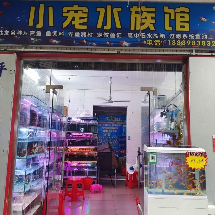 ?？陂_水族店怎么樣？加盟祥龍魚場賣龍魚市場怎樣？