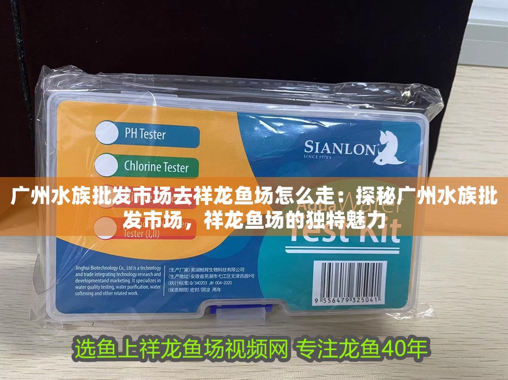 廣州水族批發市場去祥龍魚場怎么走：探秘廣州水族批發市場，祥龍魚場的獨特魅力