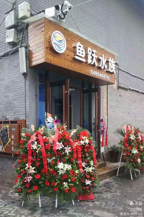 臨夏縣開水族店怎么樣？加盟祥龍魚場賣龍魚市場怎樣？