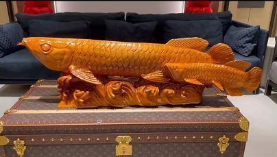 金龍魚擺件放店里頭朝哪擺放好【金龍魚擺件在店內(nèi)擺放金龍魚擺件在店里的擺放有多種講究】