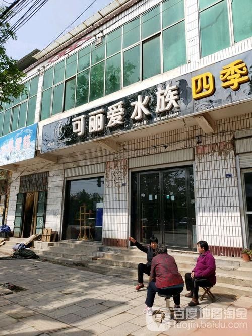 廣平開水族店怎么樣？加盟祥龍魚場(chǎng)賣龍魚市場(chǎng)怎樣？