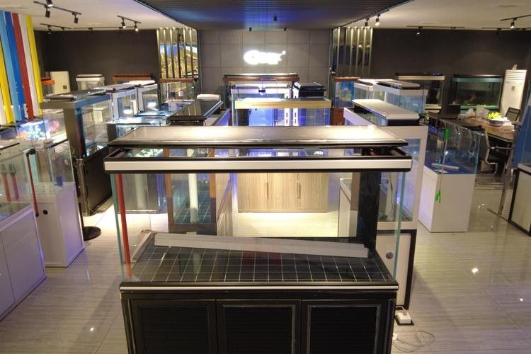 中山開水族店怎么樣？加盟祥龍魚場賣龍魚市場怎樣？