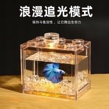 中山開水族店怎么樣？加盟祥龍魚場賣龍魚市場怎樣？